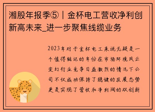 湘股年报季⑤｜金杯电工营收净利创新高未来_进一步聚焦线缆业务